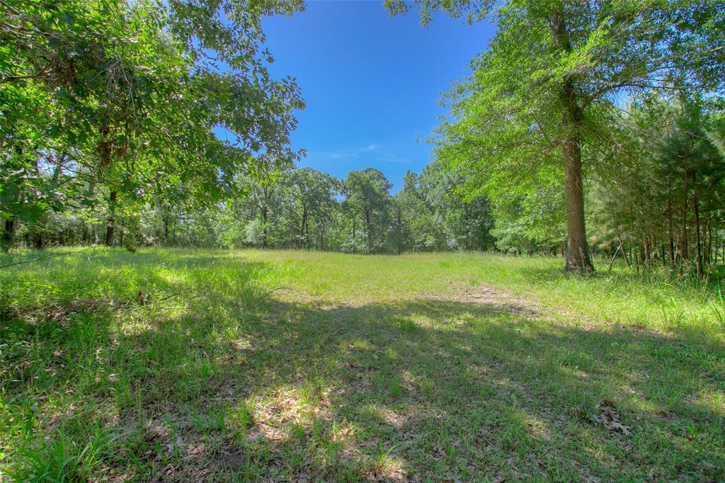 71 Bird Farm Road, Huntsville, Texas image 43
