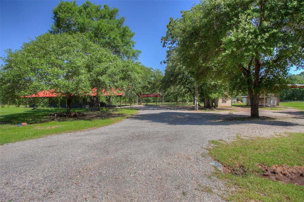 71 Bird Farm Road, Huntsville, Texas image 31