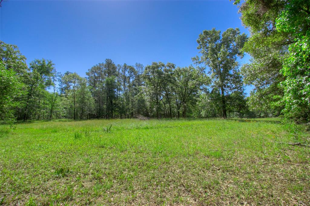 71 Bird Farm Road, Huntsville, Texas image 45