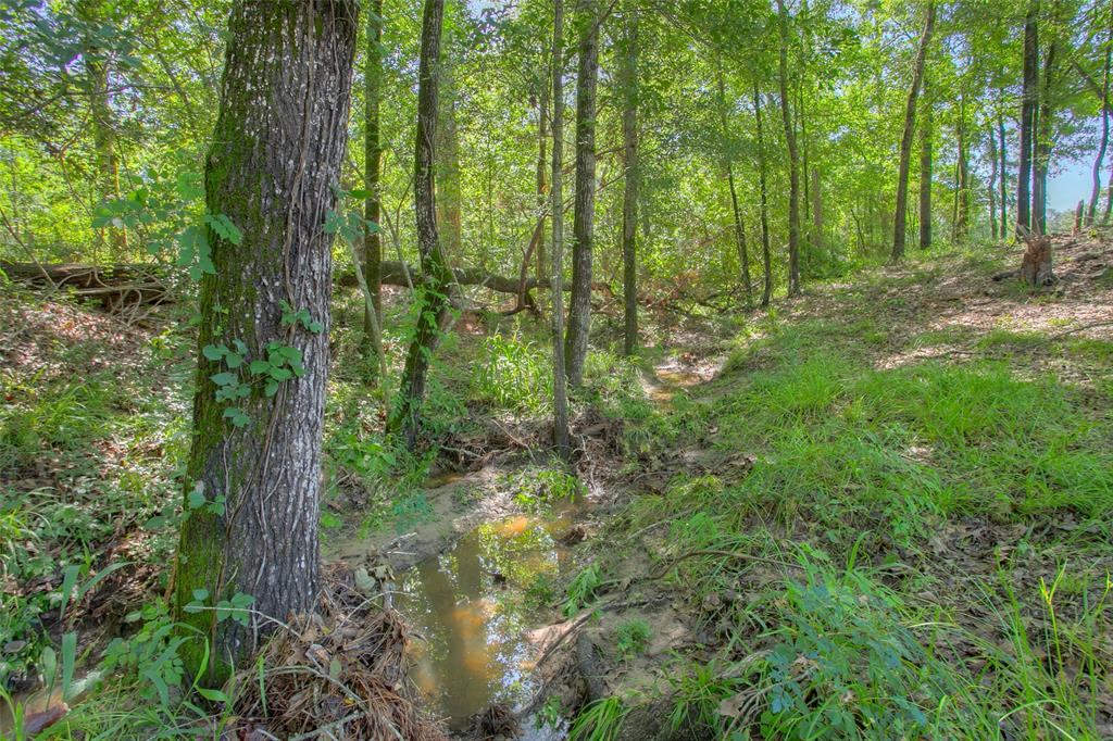 71 Bird Farm Road, Huntsville, Texas image 41