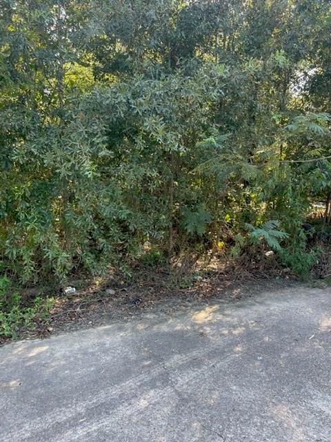 00 Spicewood Lane, Houston, Texas image 10