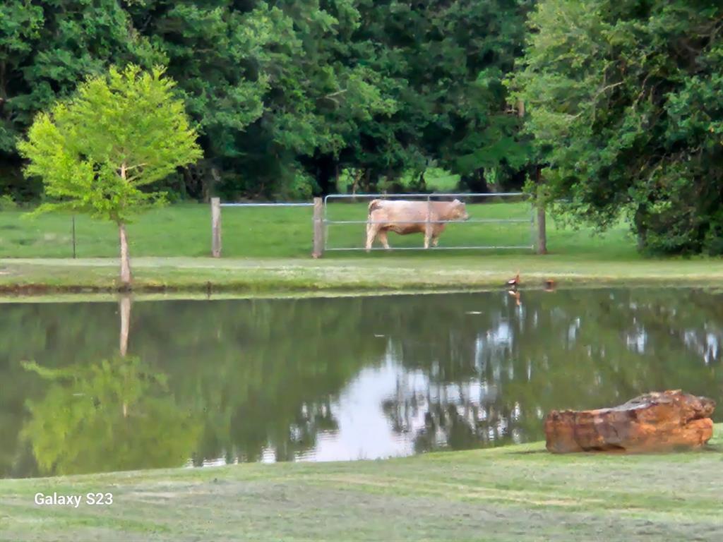 23300 Laneview Road, Hempstead, Texas image 25