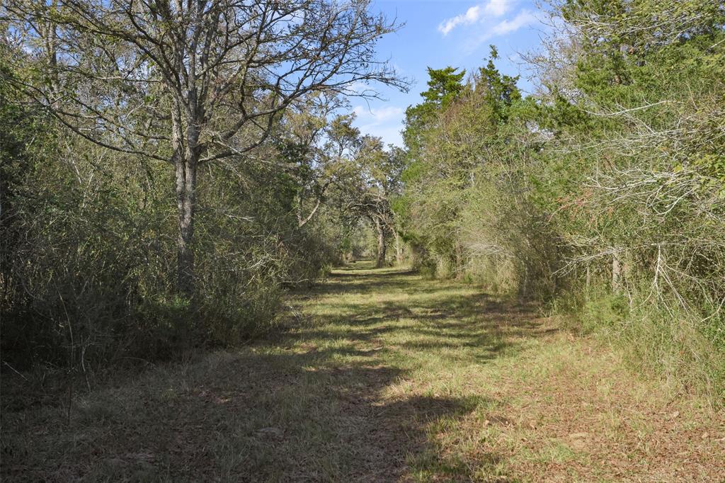 23300 Laneview Road, Hempstead, Texas image 27