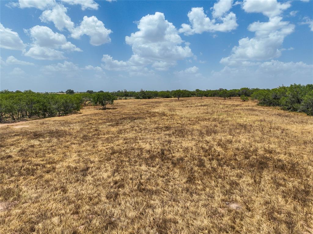 Lot 29 Cr 124 Road, Floresville, Texas image 7