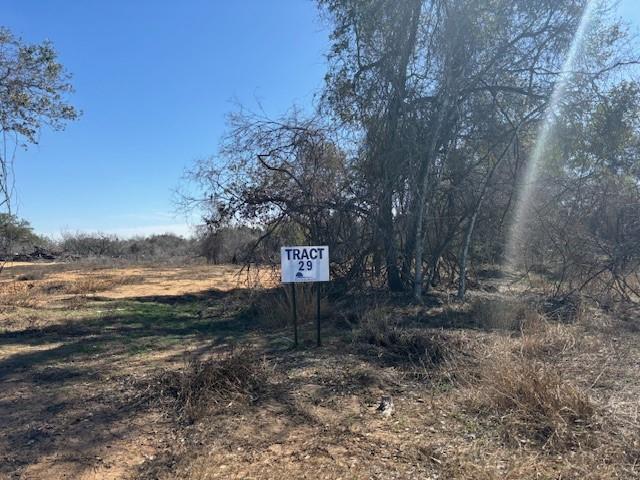 Lot 29 Cr 124 Road, Floresville, Texas image 1