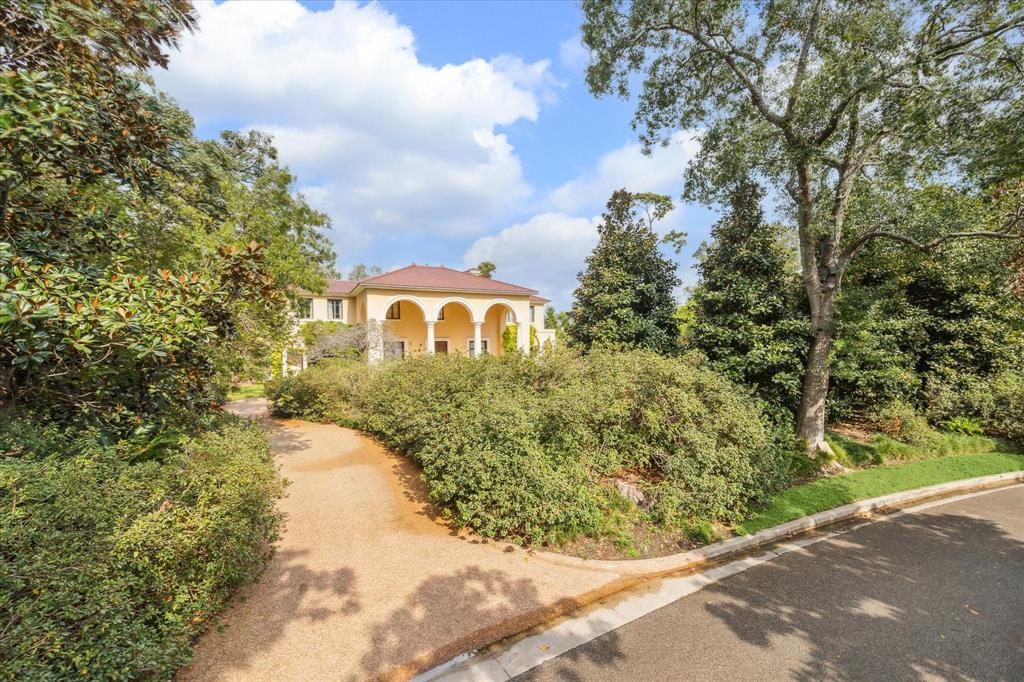 6 Shadder Way, Houston, Texas image 49