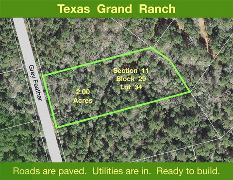 Photo of 11 Grey Feather Road, Huntsville, TX 77340 (MLS # 47310536)