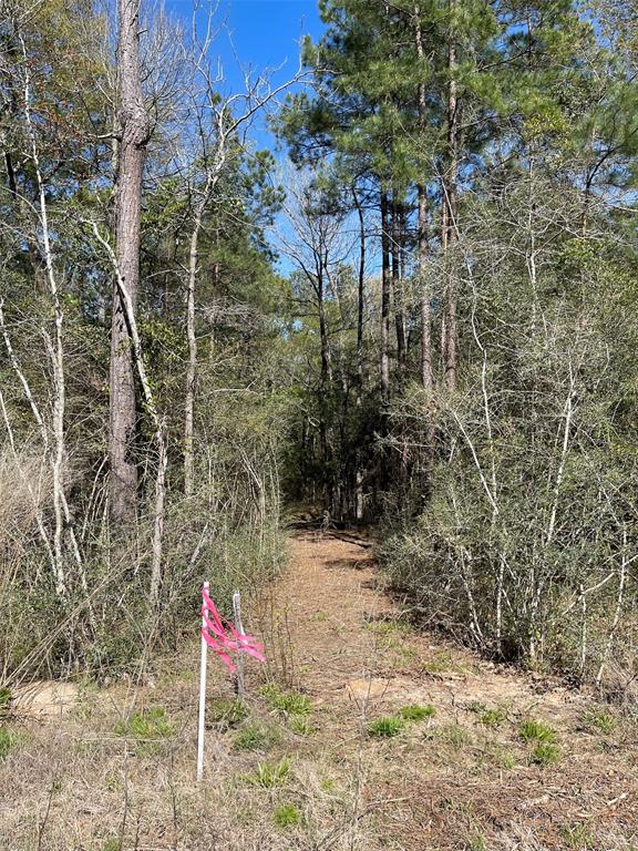 11-29-34 Grey Feather Road, Huntsville, Texas image 6