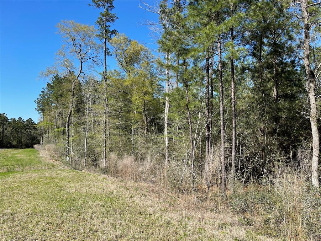 11-29-34 Grey Feather Road, Huntsville, Texas image 4