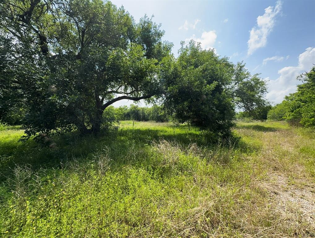 1438 24th Street, Dickinson, Texas image 3