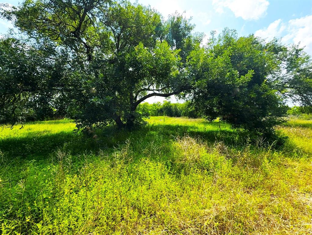 1438 24th Street, Dickinson, Texas image 5