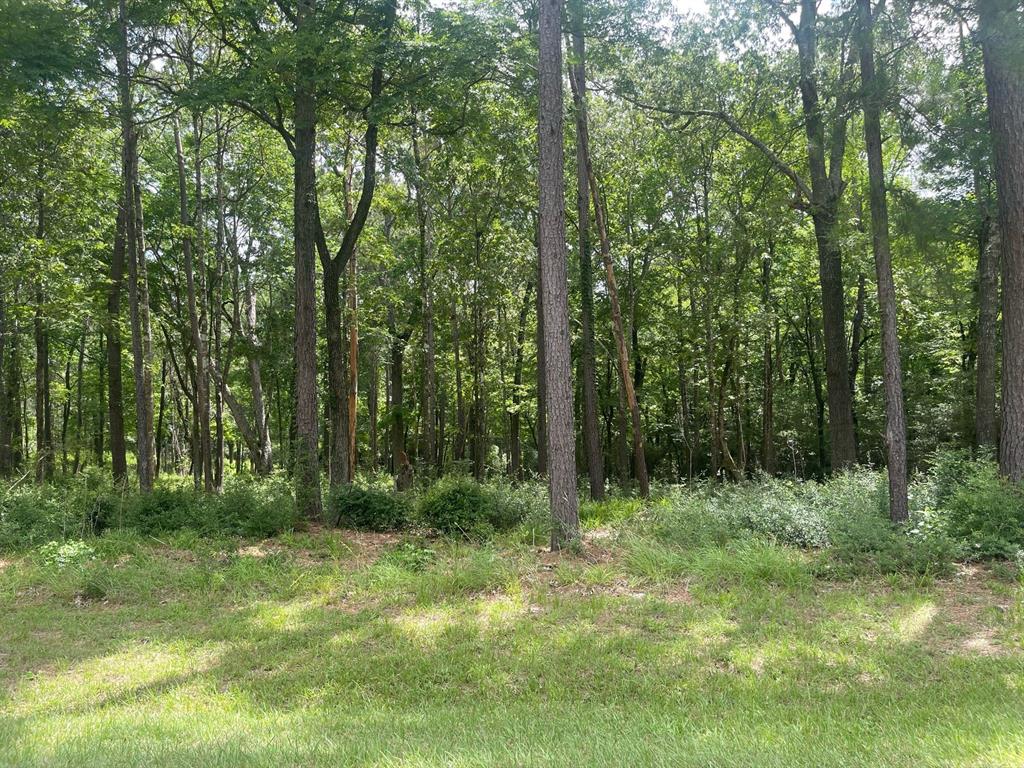 Lot 38 Venice Way, Huntsville, Texas image 3