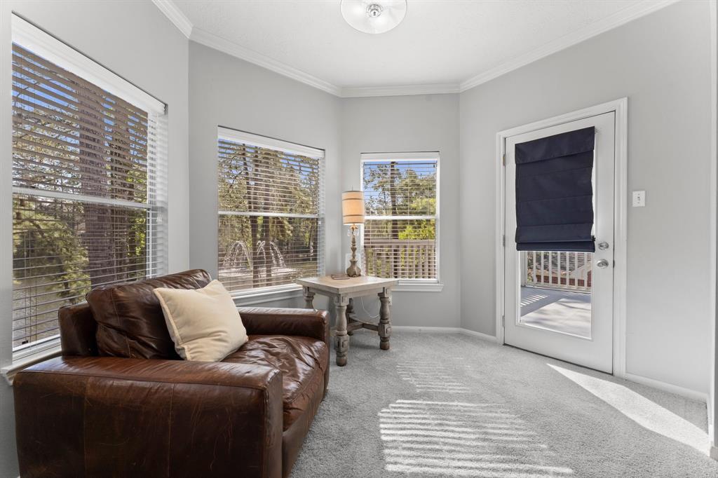 211 N Floral Leaf Circle, The Woodlands, Texas image 16
