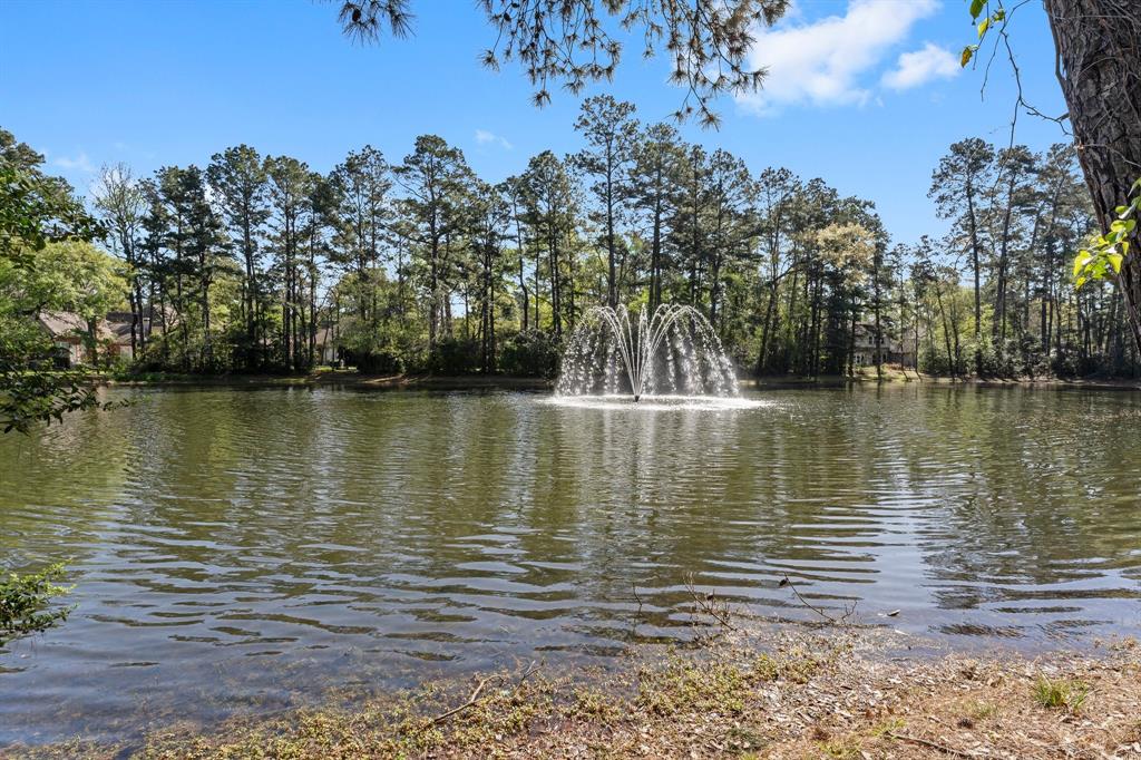 211 N Floral Leaf Circle, The Woodlands, Texas image 32