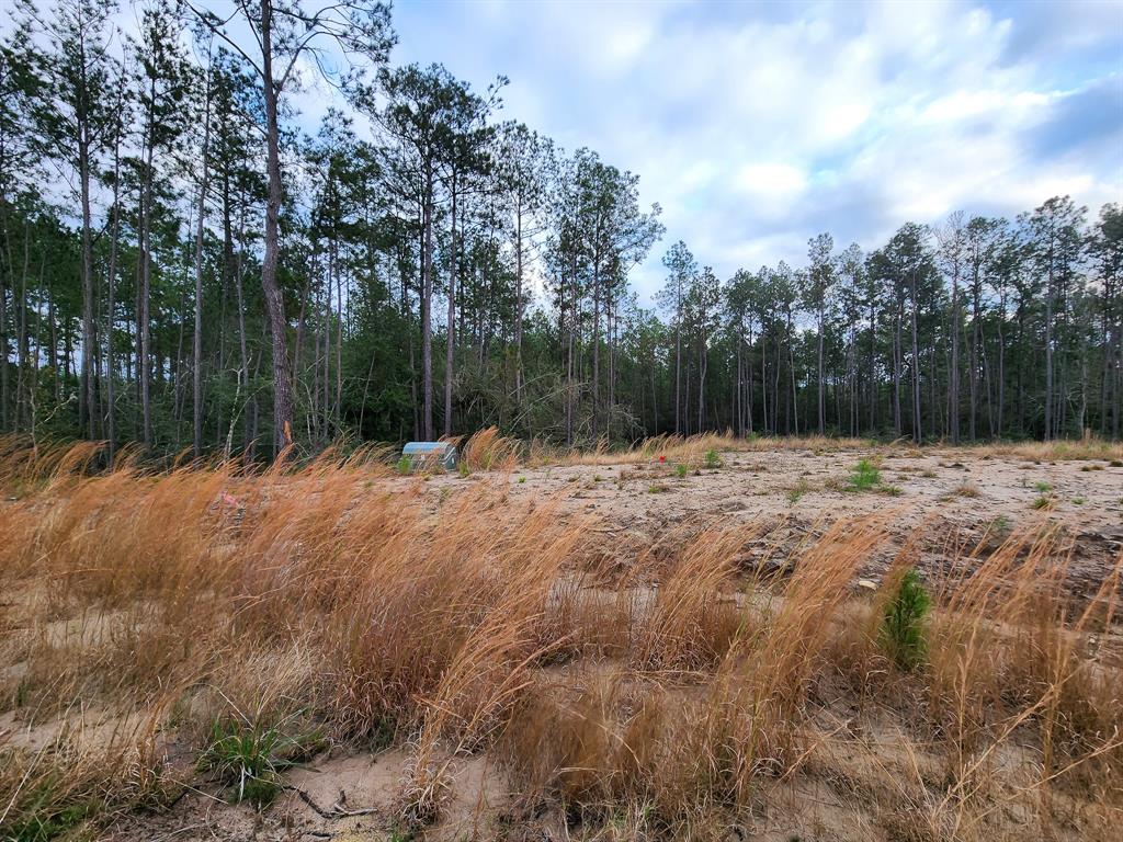 135 Rayburn Reserve Drive, Jasper, Texas image 3