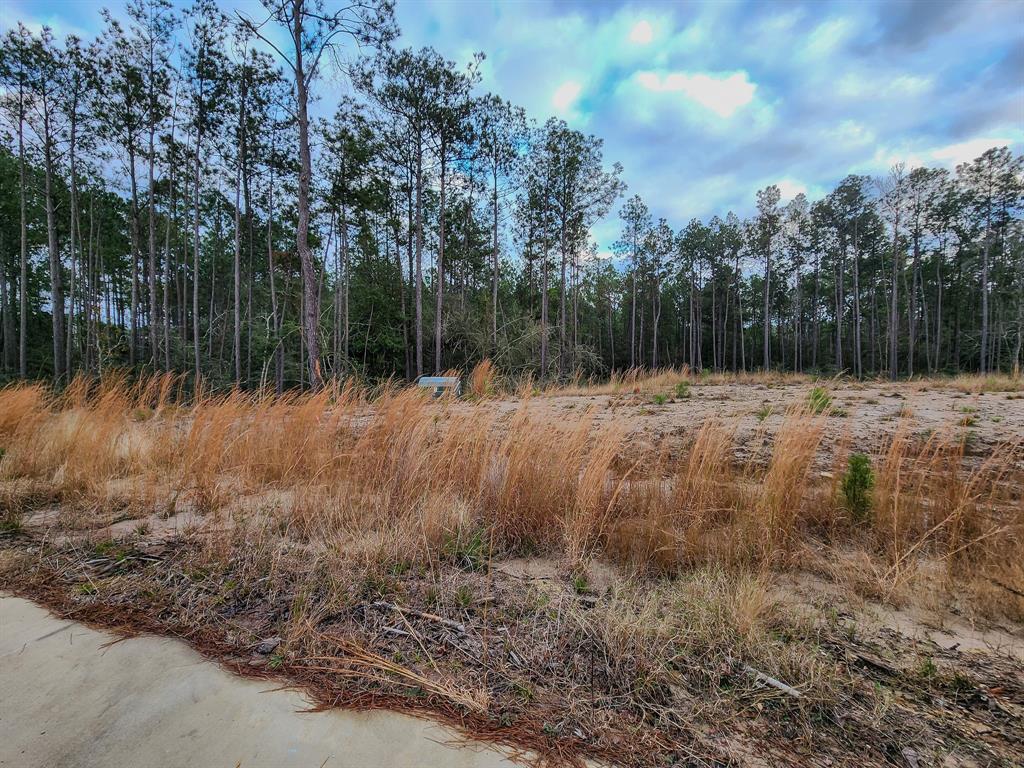 135 Rayburn Reserve Drive, Jasper, Texas image 1