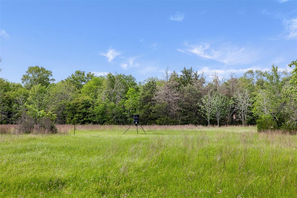 +/- 400 AC Fm 2289, Normangee, Texas image 7