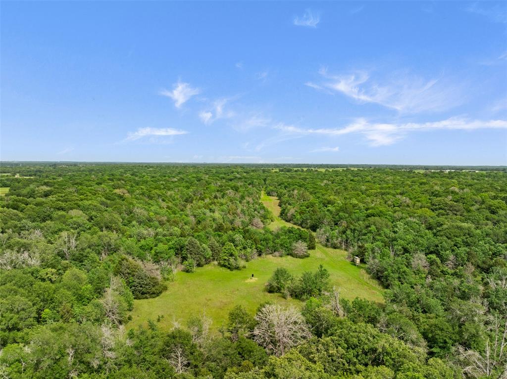 +/- 400 AC Fm 2289, Normangee, Texas image 14