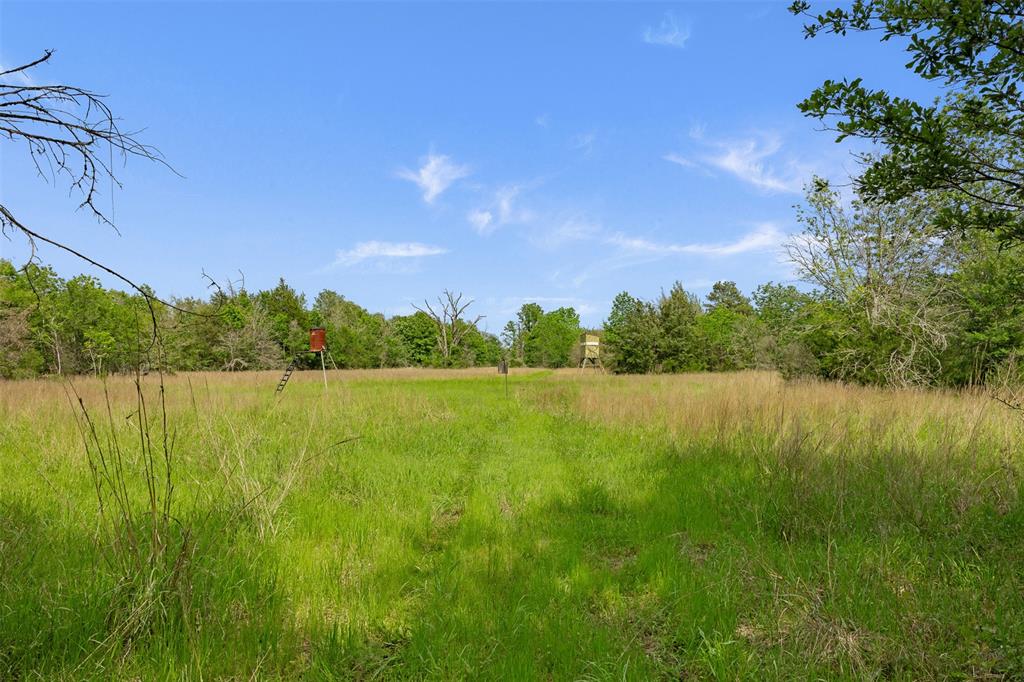 +/- 400 AC Fm 2289, Normangee, Texas image 9