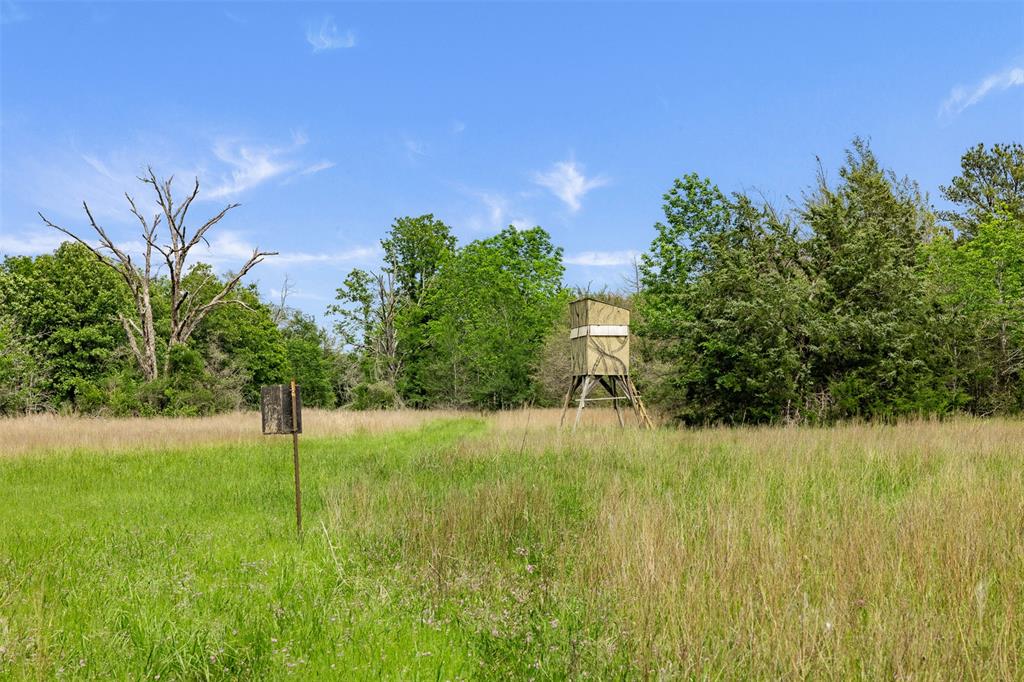 +/- 400 AC Fm 2289, Normangee, Texas image 10