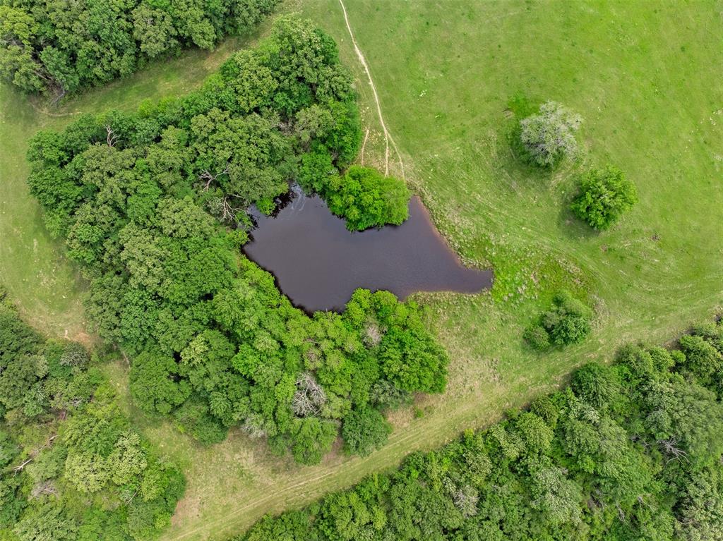 +/- 400 AC Fm 2289, Normangee, Texas image 12