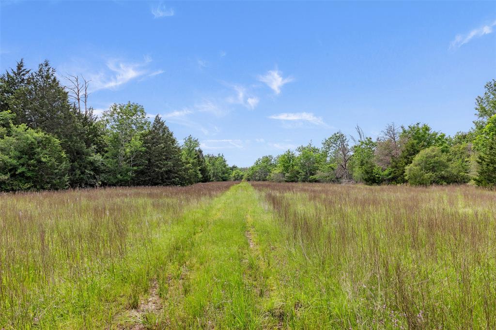 +/- 400 AC Fm 2289, Normangee, Texas image 6