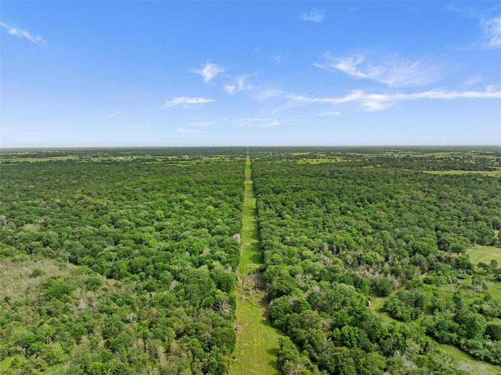 +/- 400 AC Fm 2289, Normangee, Texas image 11