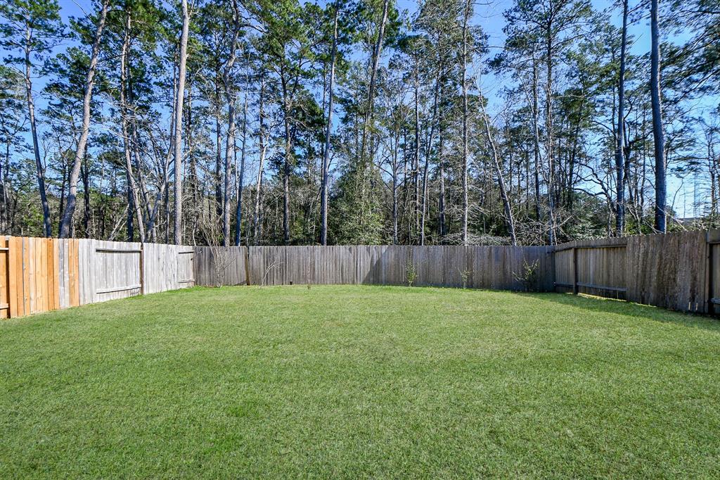 12328 New River Trail, Conroe, Texas image 30