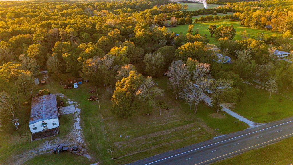 17325 Us Highway 59, Moscow, Texas image 3