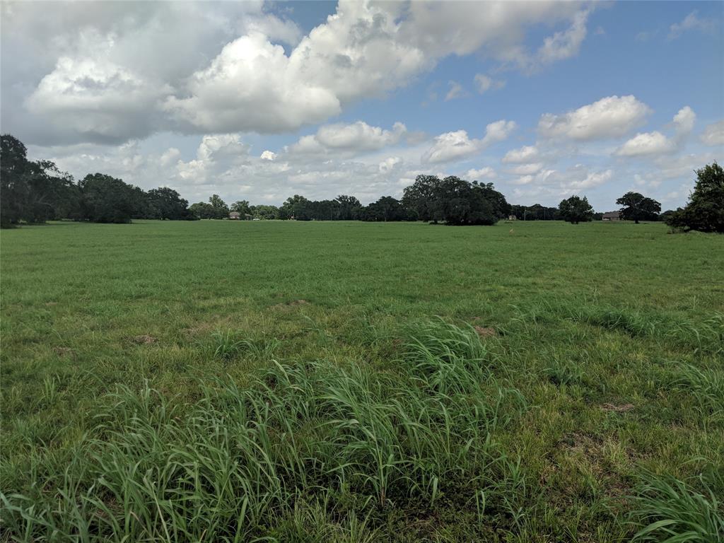 429 Pony Trail, Angleton, Texas image 2