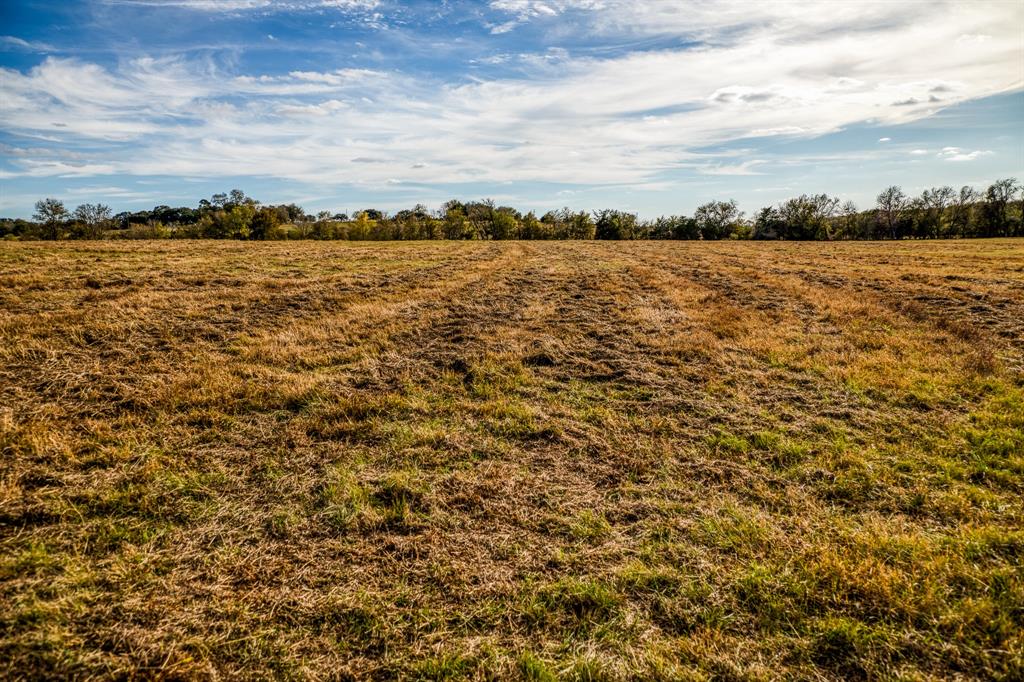 Lot 3 Sandy Hill Road, Brenham, Texas image 4