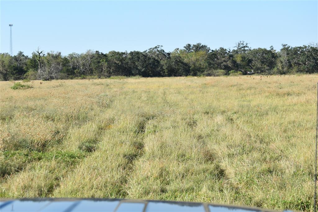 8734 Fm 521, Brazoria, Texas image 34