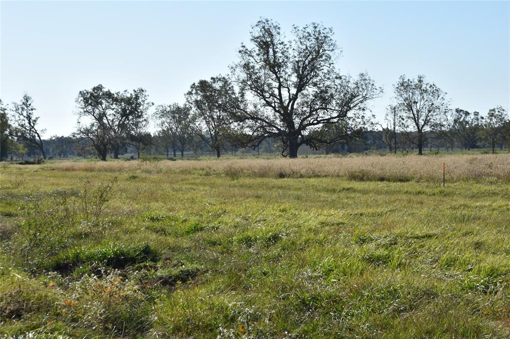 8734 Fm 521, Brazoria, Texas image 27
