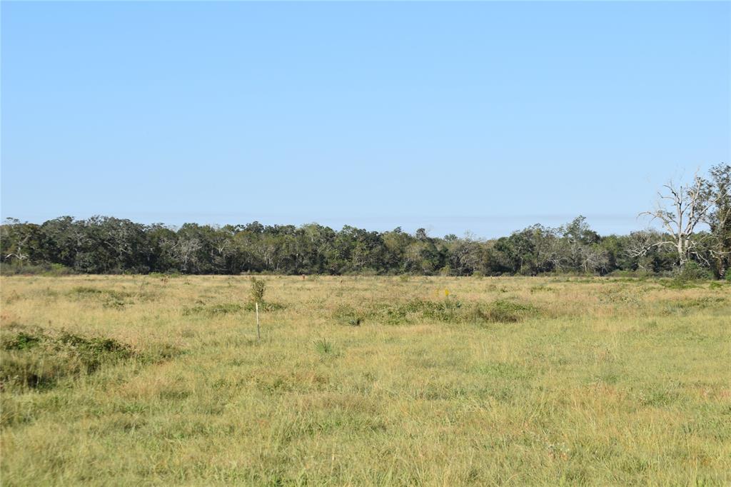 8734 Fm 521, Brazoria, Texas image 23