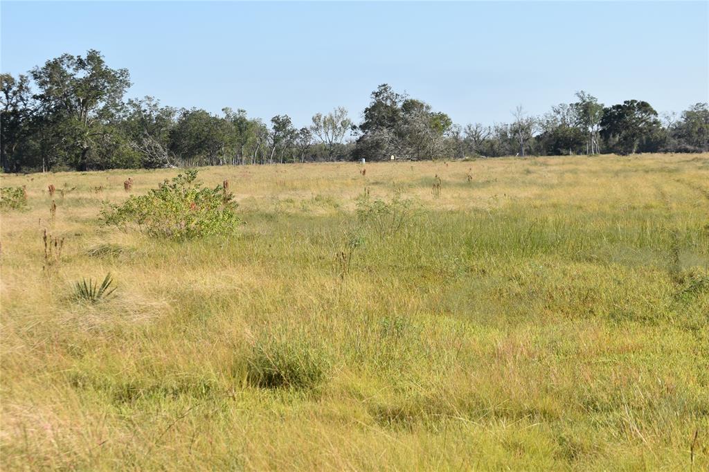 8734 Fm 521, Brazoria, Texas image 36