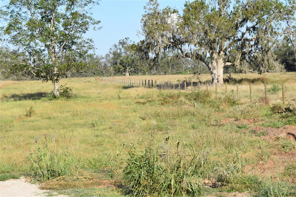 8734 Fm 521, Brazoria, Texas image 8