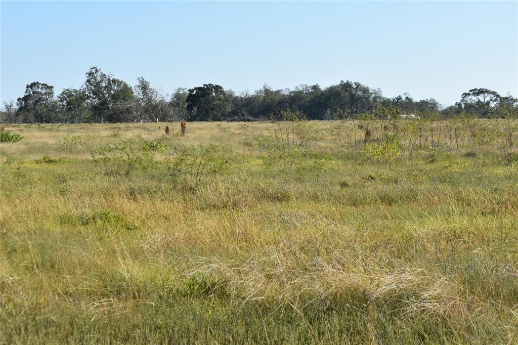 8734 Fm 521, Brazoria, Texas image 40