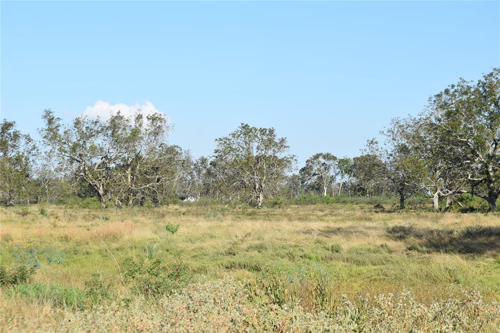 8734 Fm 521, Brazoria, Texas image 30