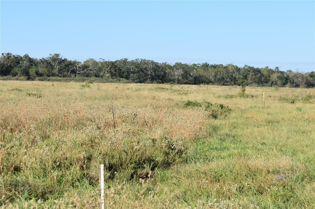 8734 Fm 521, Brazoria, Texas image 19