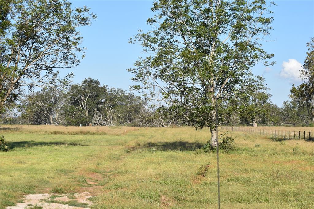 8734 Fm 521, Brazoria, Texas image 9