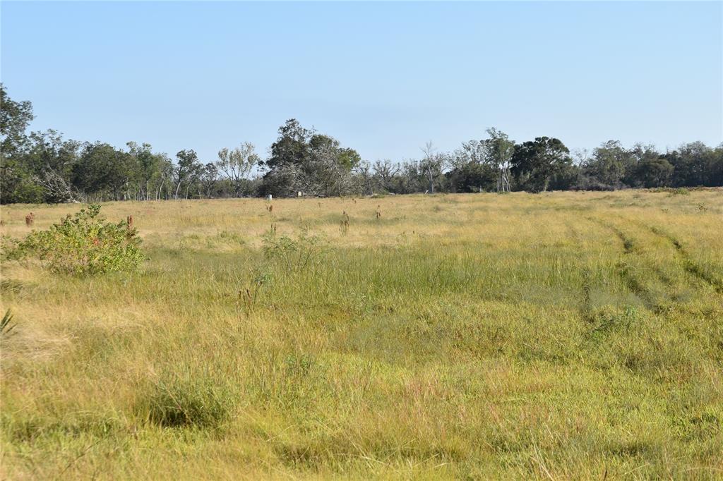 8734 Fm 521, Brazoria, Texas image 37