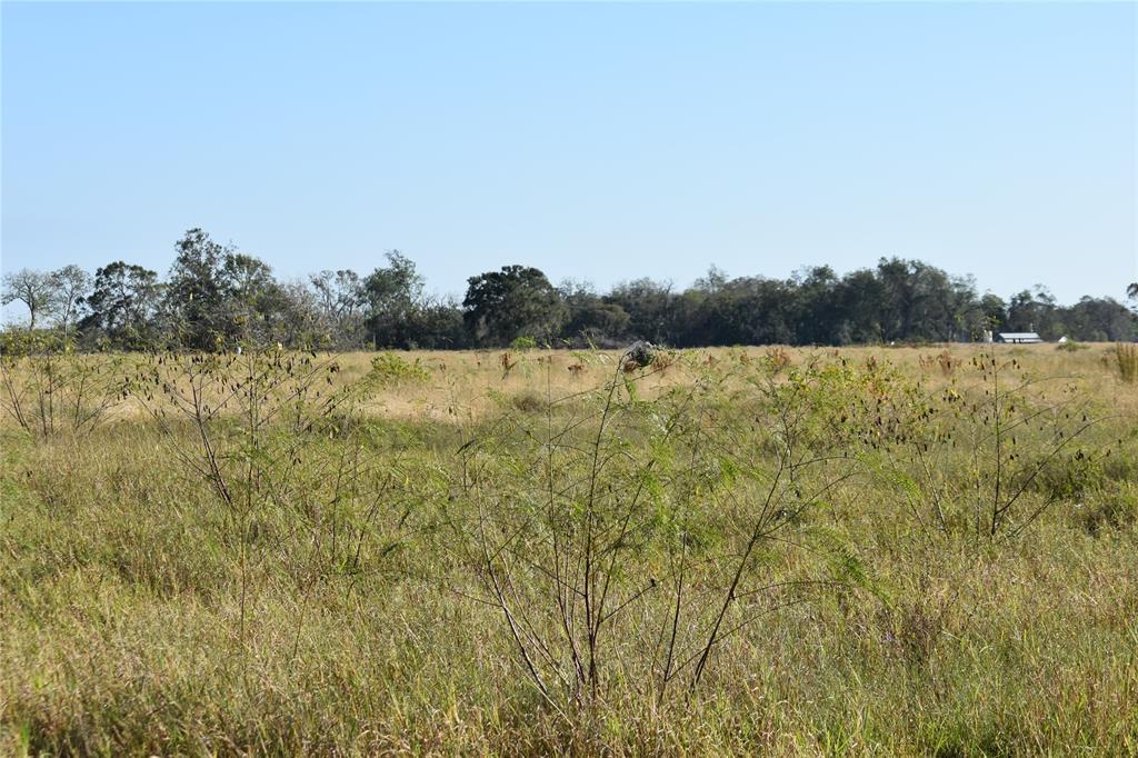 8734 Fm 521, Brazoria, Texas image 38