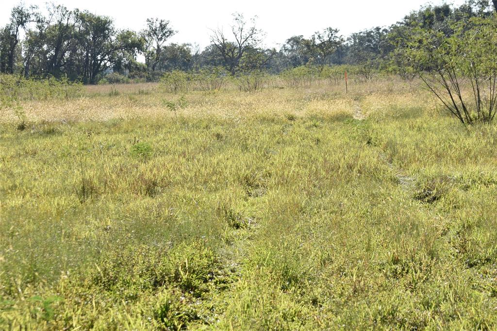 8734 Fm 521, Brazoria, Texas image 39