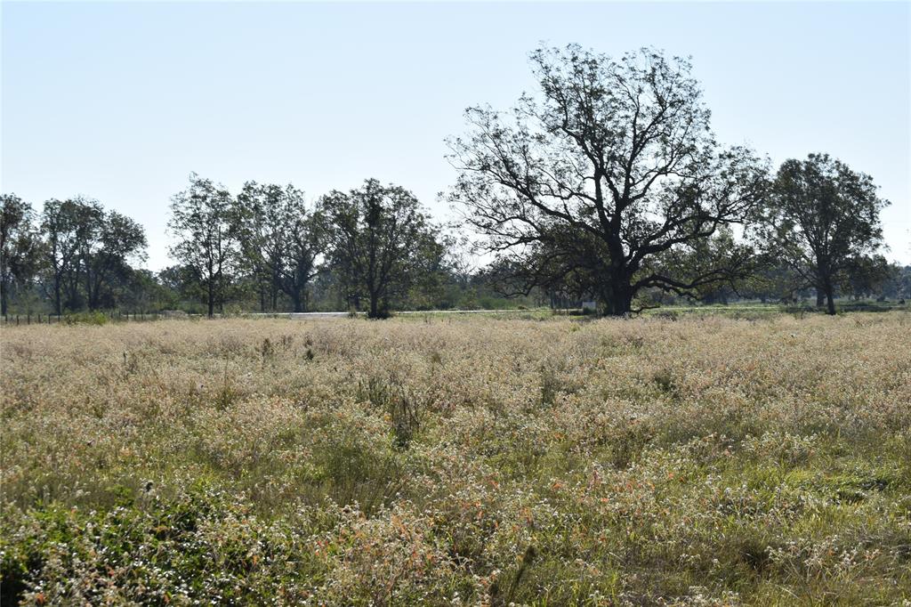 8734 Fm 521, Brazoria, Texas image 33