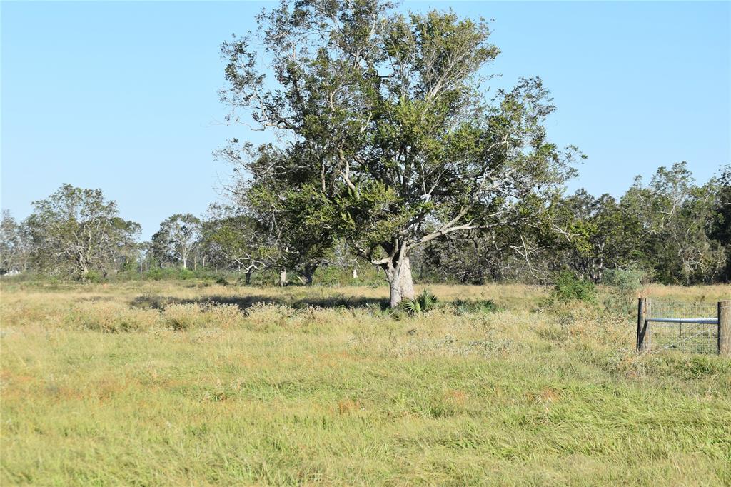 8734 Fm 521, Brazoria, Texas image 20