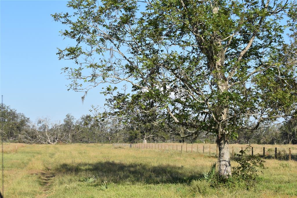 8734 Fm 521, Brazoria, Texas image 11