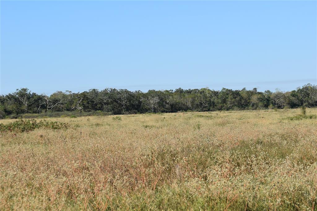 8734 Fm 521, Brazoria, Texas image 17