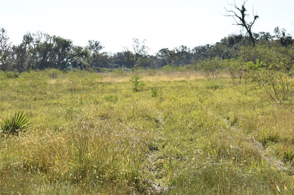 8734 Fm 521, Brazoria, Texas image 41