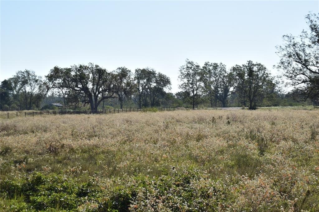 8734 Fm 521, Brazoria, Texas image 32