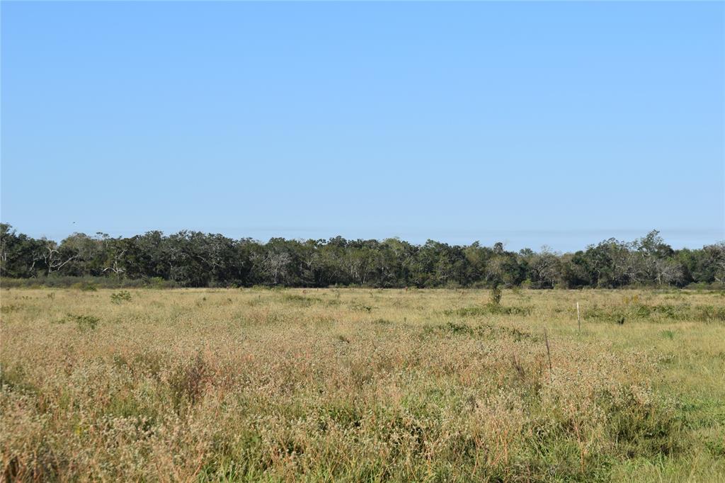 8734 Fm 521, Brazoria, Texas image 18